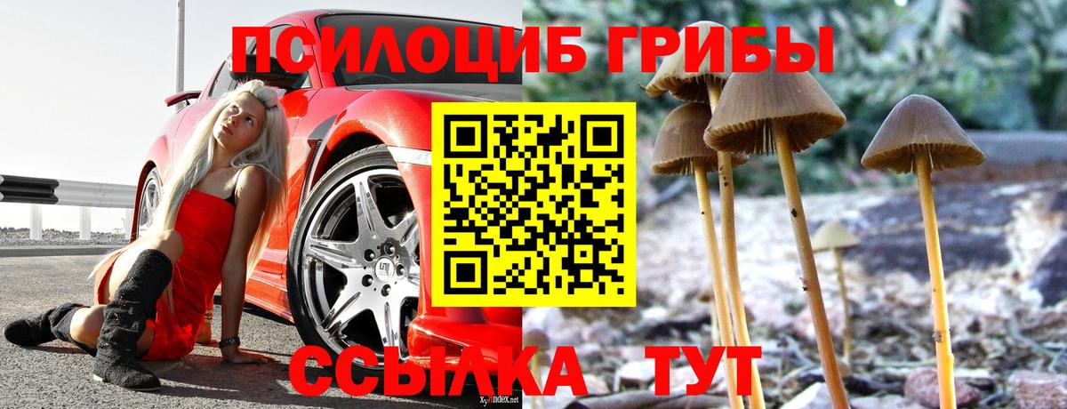 Псилоцибиновые грибы прущие грибы Белово