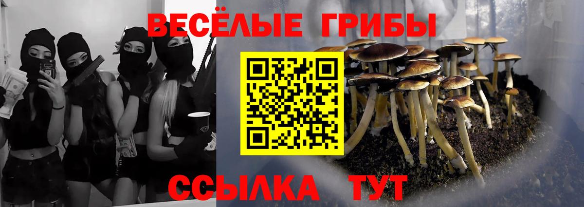 Галлюциногенные грибы ЛСД  Вход с VPN  Белово 